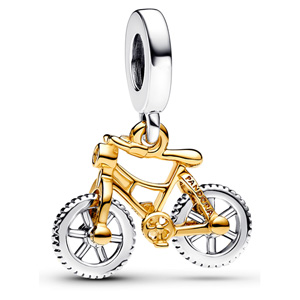 Two-tone Spinning Wheels Bicycle Dangle